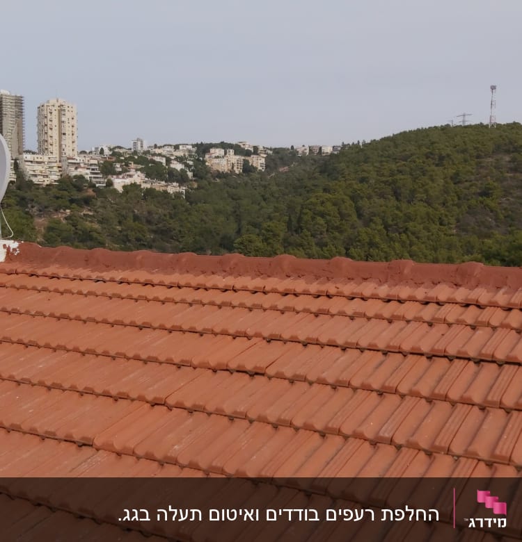 גג רעפים אדום עם אנטנה לוויינית